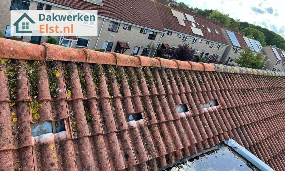Een dakrenovatie bij oud pannendak Een dakrenovatie bij oud pannendak in Elst